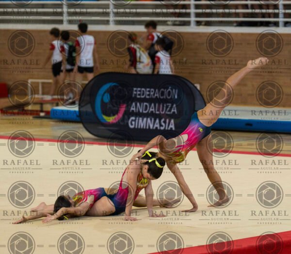 WG 9 - Imagen 21