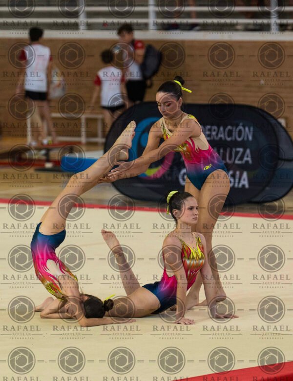 WG 9 - Imagen 22