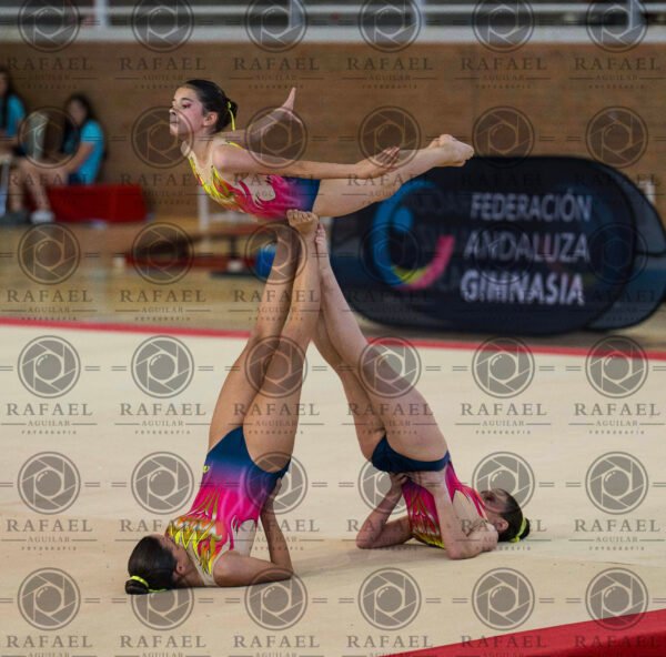 WG 9 - Imagen 23
