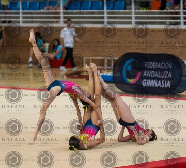 WG 9 - Imagen 24