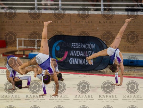 G 1 - Imagen 8