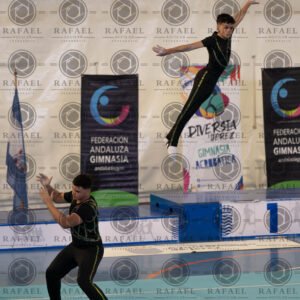 JESUS, FRANCISCO (D)